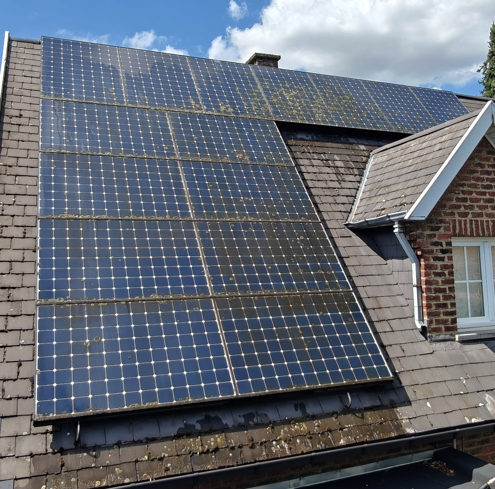 Panneaux solaires encrassés avant nettoyage par Falco Cleaning