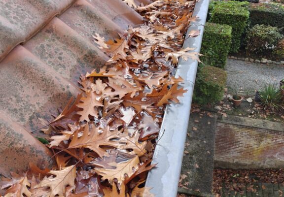 nettoyage gouttières Gouttière remplie de feuilles mortes et d'eau à Rhode saint genèse